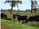 . Vise Road, Lockington VIC 3563