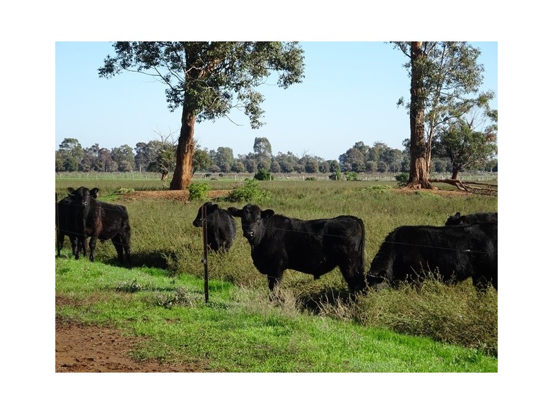 . Vise Road, Lockington VIC 3563