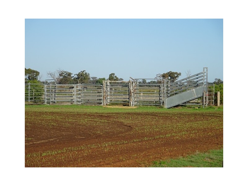 . Vise Road, Lockington VIC 3563