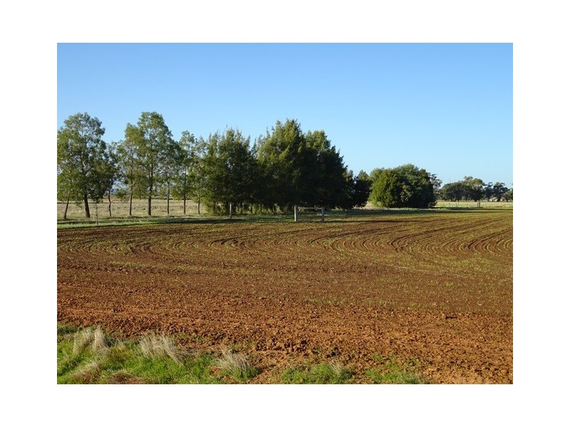 . Vise Road, Lockington VIC 3563