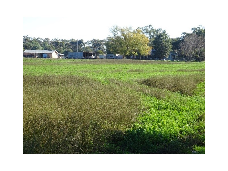 . Vise Road, Lockington VIC 3563