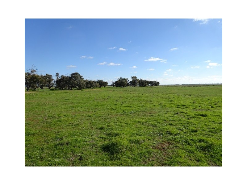 . Tantonan Road, Bunnaloo NSW 2731