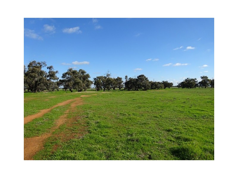 . Tantonan Road, Bunnaloo NSW 2731