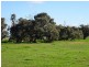 . Tantonan Road, Bunnaloo NSW 2731