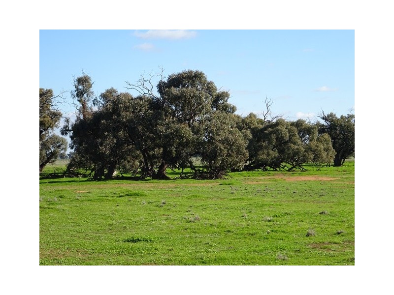 . Tantonan Road, Bunnaloo NSW 2731