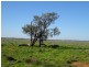 . Tantonan Road, Bunnaloo NSW 2731