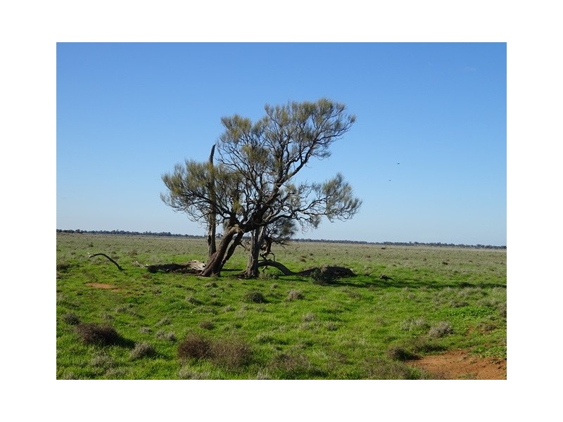 . Tantonan Road, Bunnaloo NSW 2731