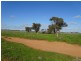 . Tantonan Road, Bunnaloo NSW 2731
