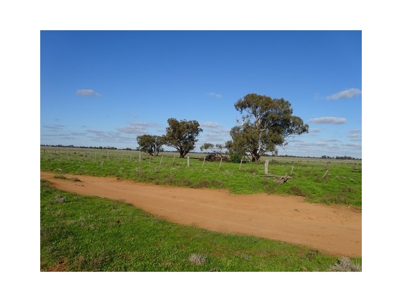 . Tantonan Road, Bunnaloo NSW 2731