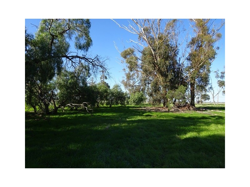 . Tantonan Road, Bunnaloo NSW 2731