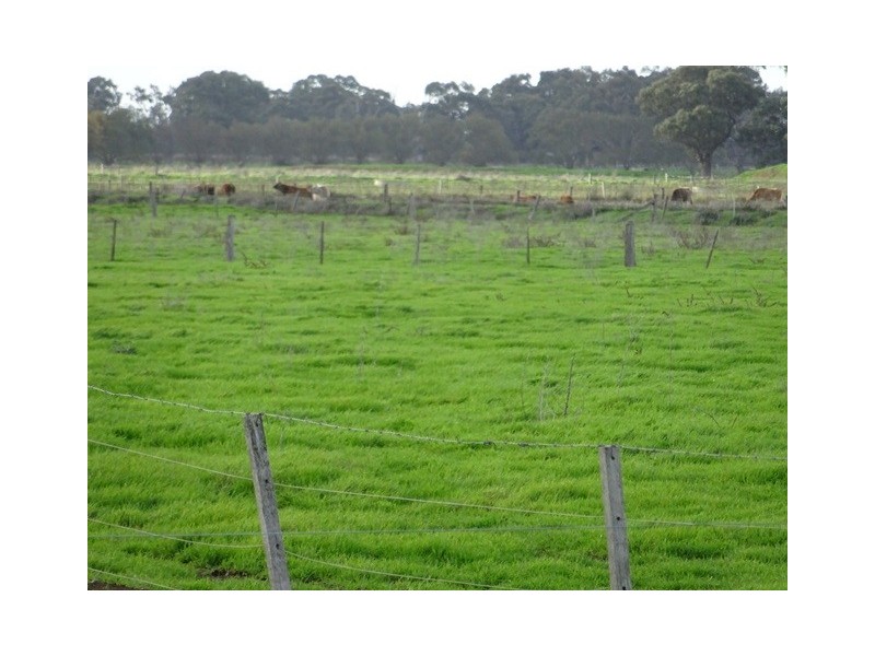 . Mitiamo Road, Kotta VIC 3565