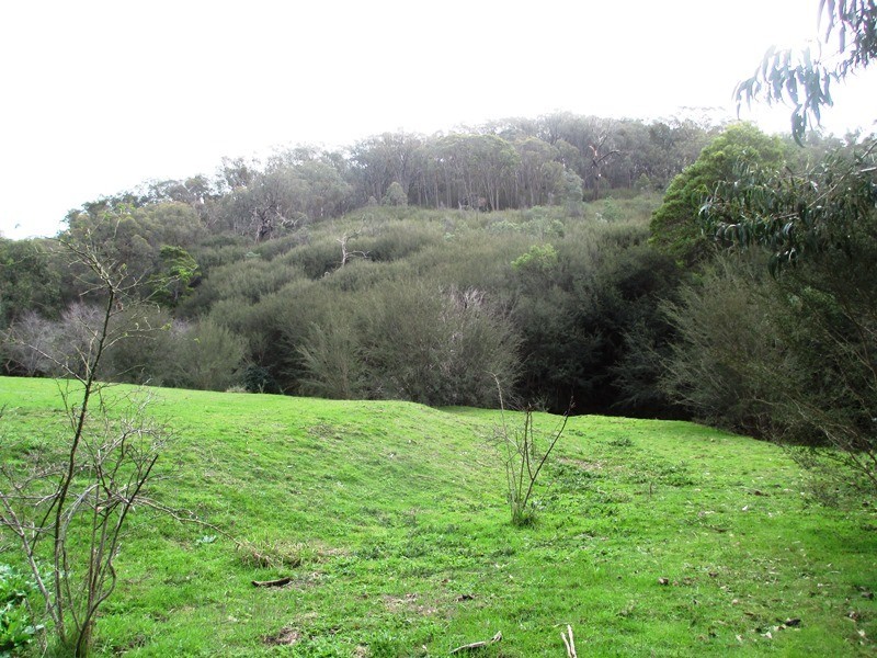 76 Range Road, Yarck VIC 3719