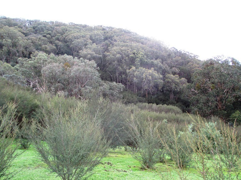 76 Range Road, Yarck VIC 3719