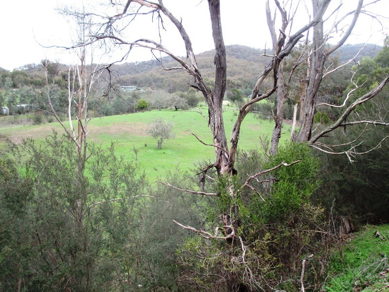 76 Range Road, Yarck VIC 3719