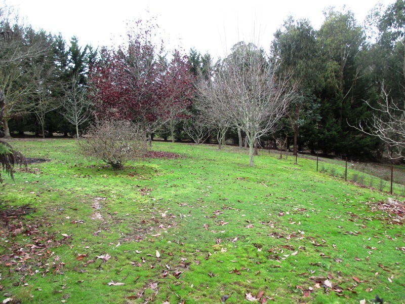 76 Range Road, Yarck VIC 3719