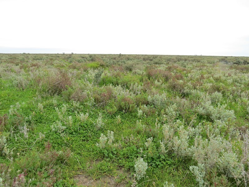 - Thelangerin Road, Hay NSW 2711