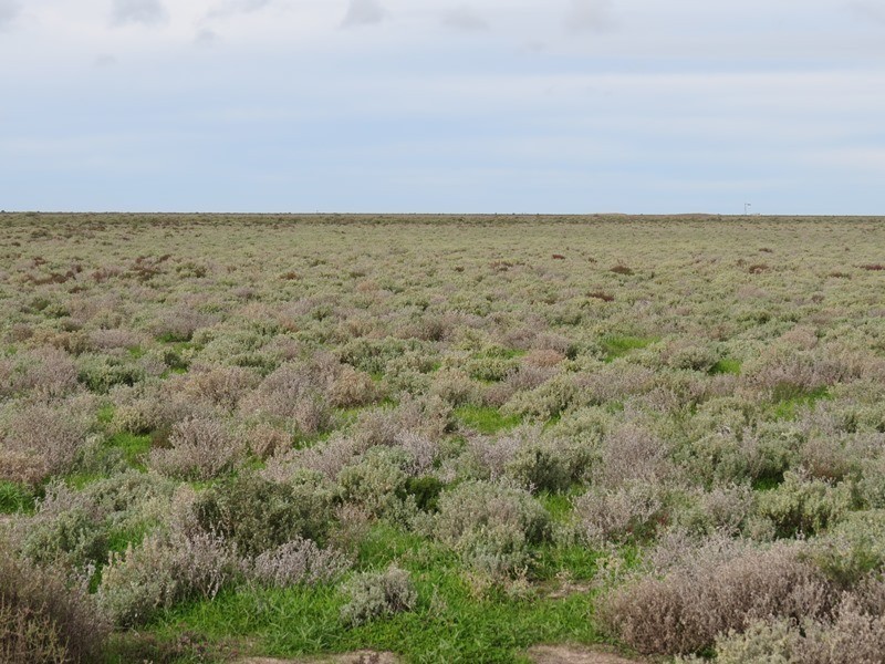 - Thelangerin Road, Hay NSW 2711