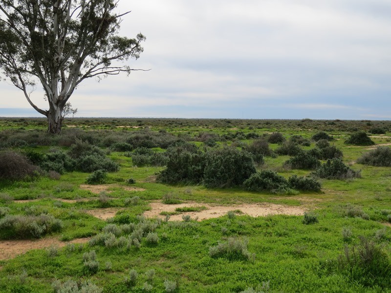 - Thelangerin Road, Hay NSW 2711