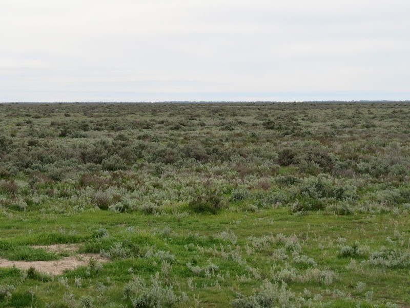 - Thelangerin Road, Hay NSW 2711