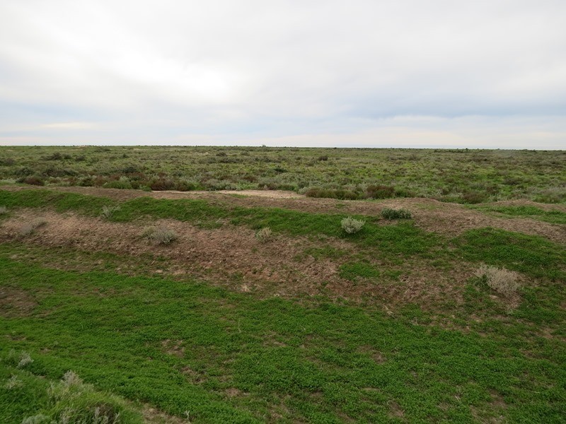 - Thelangerin Road, Hay NSW 2711