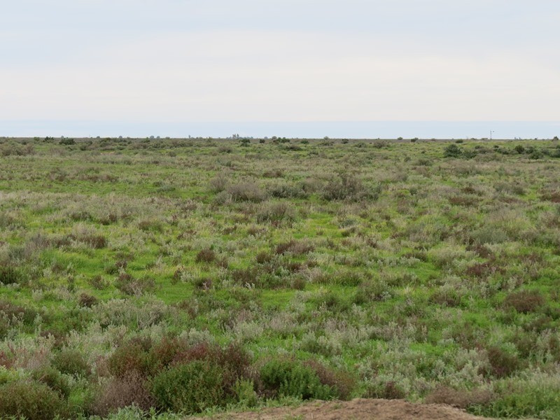 - Thelangerin Road, Hay NSW 2711