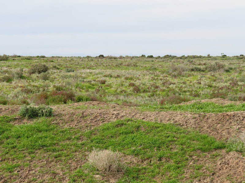 - Thelangerin Road, Hay NSW 2711