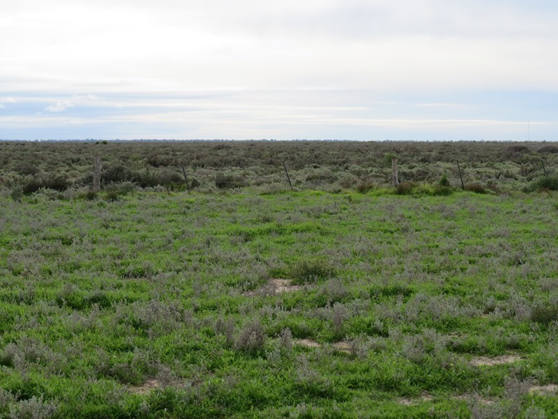 - Thelangerin Road, Hay NSW 2711