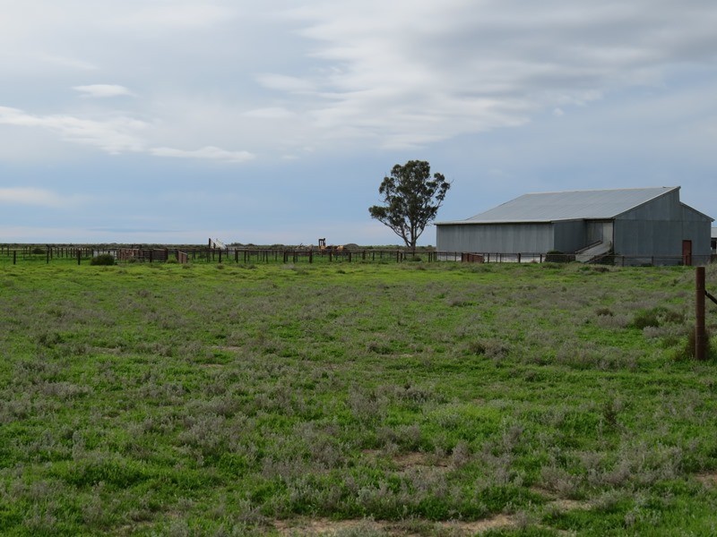 - Thelangerin Road, Hay NSW 2711