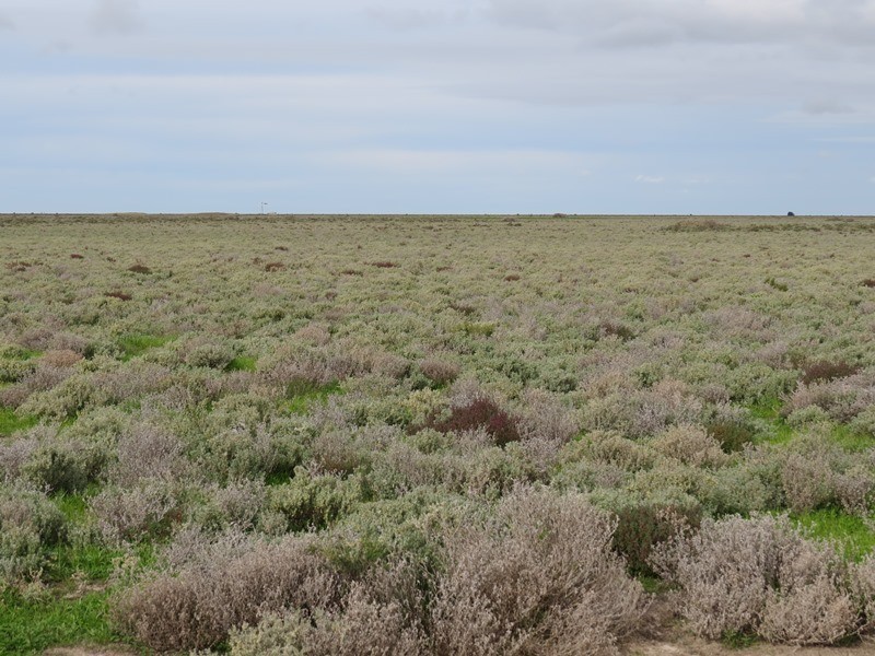 - Thelangerin Road, Hay NSW 2711