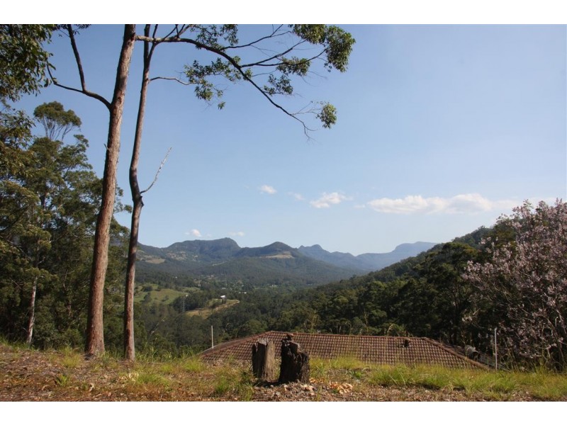 11 Barmark Court, Tallebudgera Valley QLD 4228