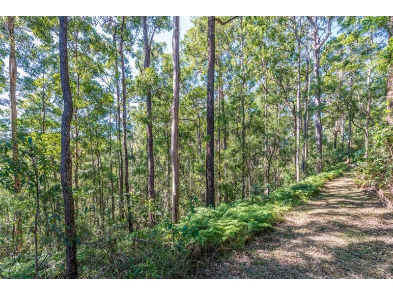 11 Barmark Court, Tallebudgera Valley QLD 4228