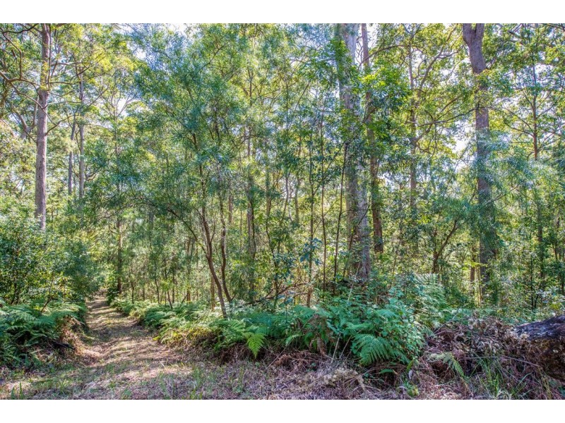11 Barmark Court, Tallebudgera Valley QLD 4228