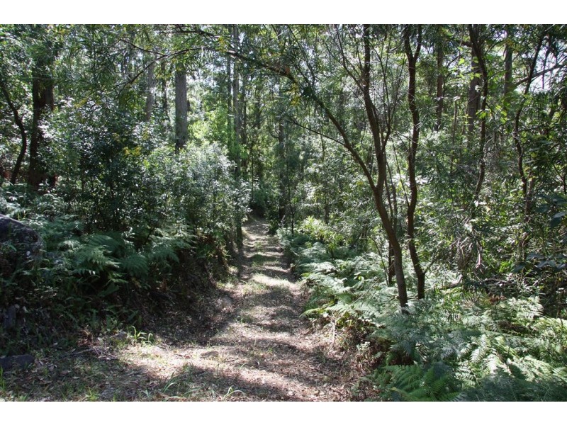 11 Barmark Court, Tallebudgera Valley QLD 4228