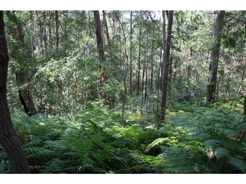 11 Barmark Court, Tallebudgera Valley QLD 4228