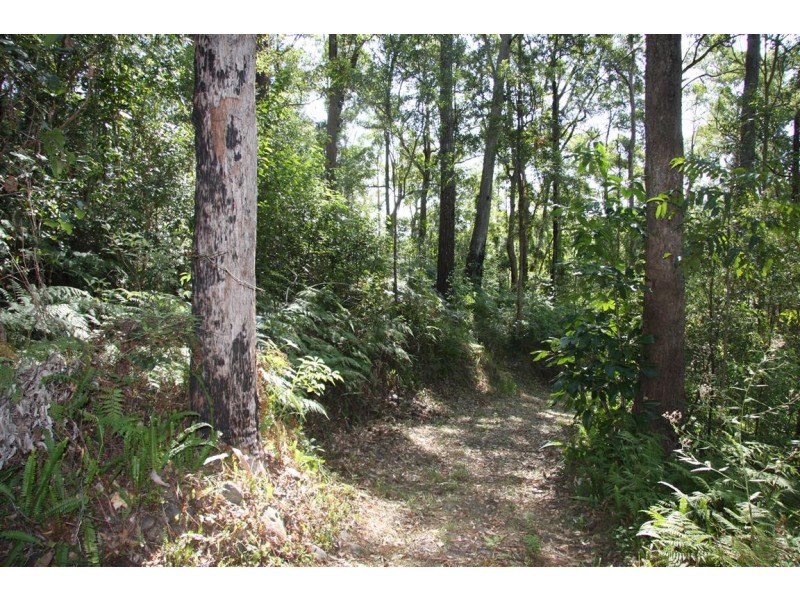 11 Barmark Court, Tallebudgera Valley QLD 4228