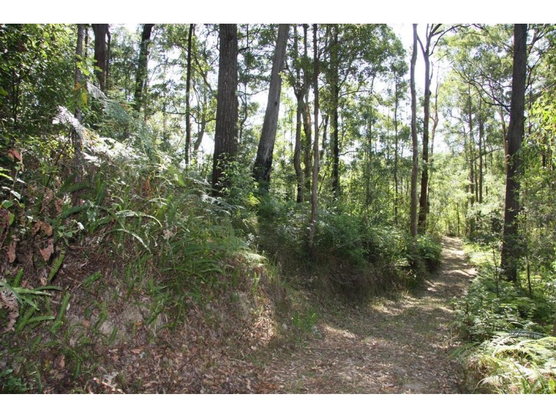 11 Barmark Court, Tallebudgera Valley QLD 4228