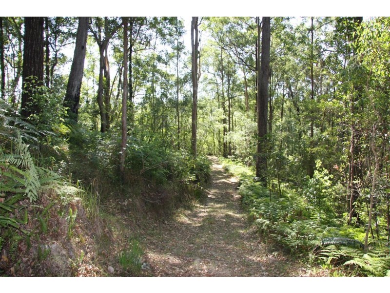 11 Barmark Court, Tallebudgera Valley QLD 4228