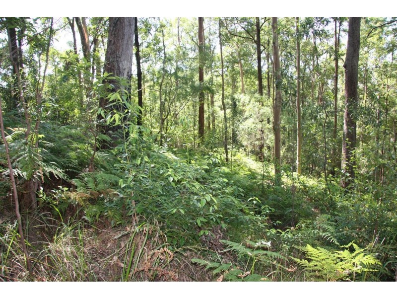 11 Barmark Court, Tallebudgera Valley QLD 4228