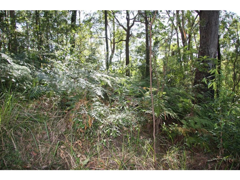 11 Barmark Court, Tallebudgera Valley QLD 4228