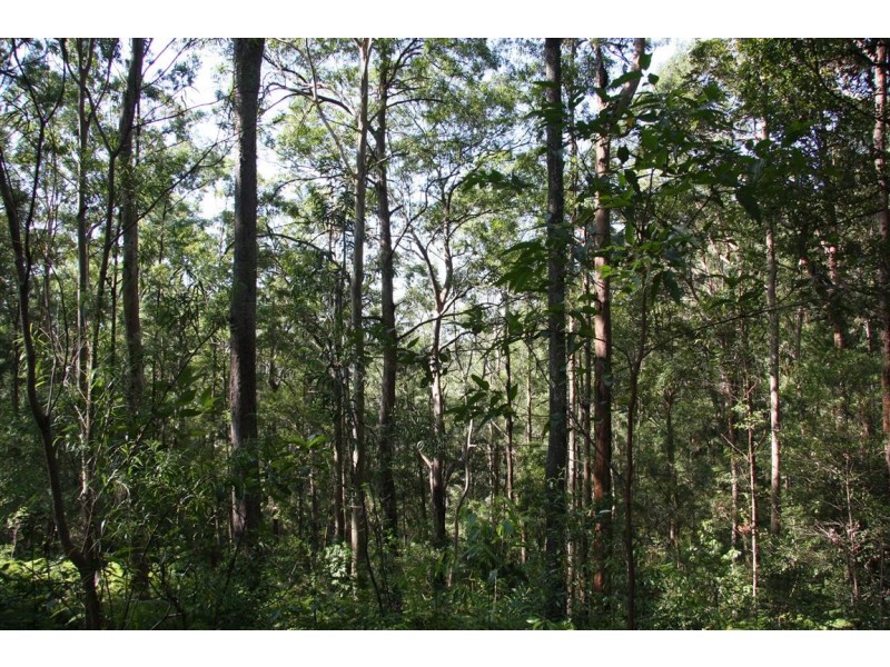 11 Barmark Court, Tallebudgera Valley QLD 4228