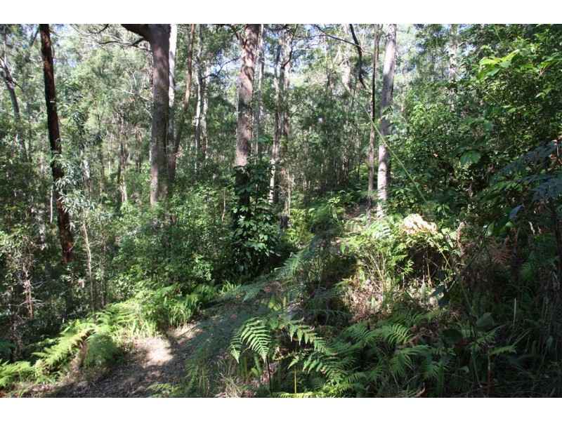 11 Barmark Court, Tallebudgera Valley QLD 4228