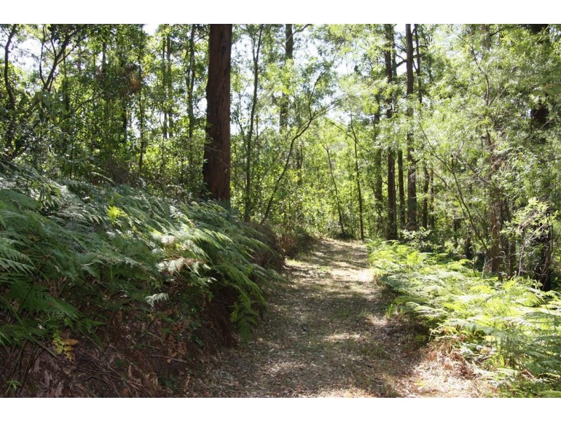 11 Barmark Court, Tallebudgera Valley QLD 4228