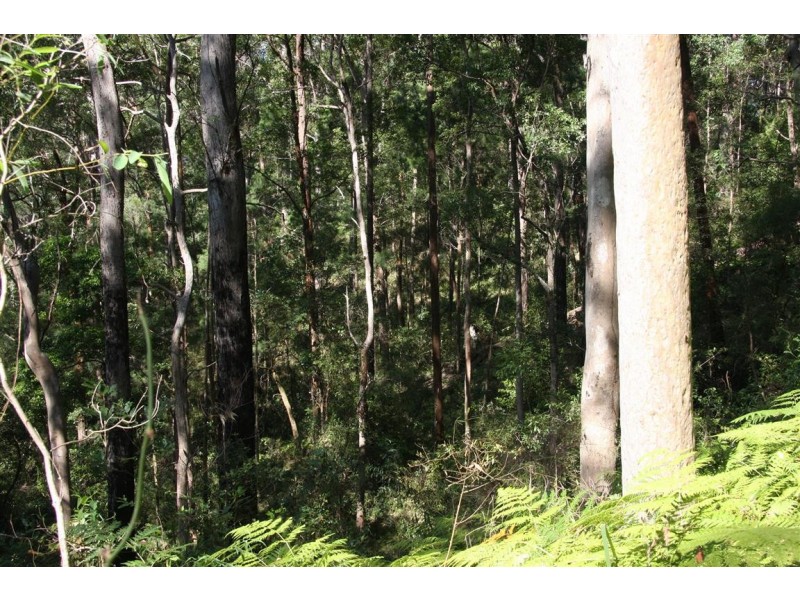 11 Barmark Court, Tallebudgera Valley QLD 4228