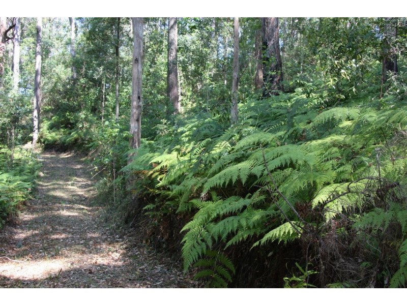 11 Barmark Court, Tallebudgera Valley QLD 4228