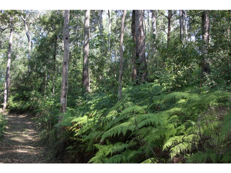 11 Barmark Court, Tallebudgera Valley QLD 4228