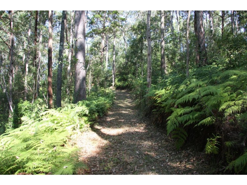 11 Barmark Court, Tallebudgera Valley QLD 4228