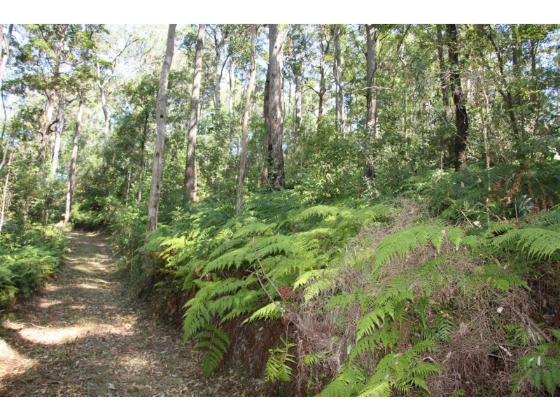 11 Barmark Court, Tallebudgera Valley QLD 4228