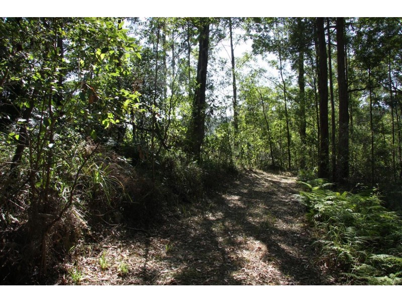 11 Barmark Court, Tallebudgera Valley QLD 4228