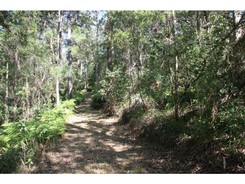 11 Barmark Court, Tallebudgera Valley QLD 4228