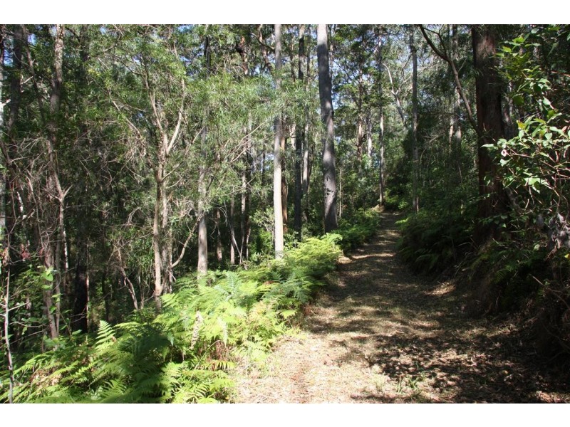 11 Barmark Court, Tallebudgera Valley QLD 4228